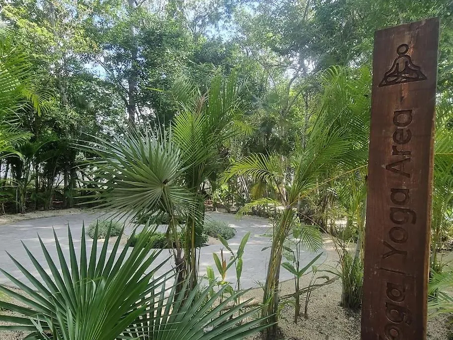 Hermoso Condominio Con Alberca En Puerto Morelos 0*,  Mexico